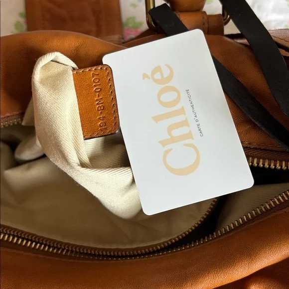 Chloe bag Ava East West bag